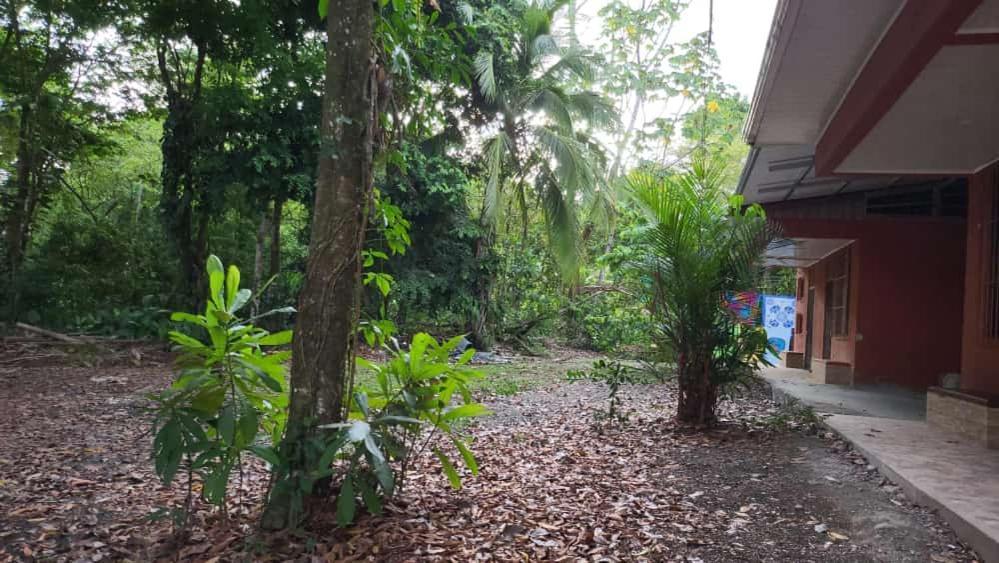 Hostel Manuel Antonio Park Jungle Exteriér fotografie